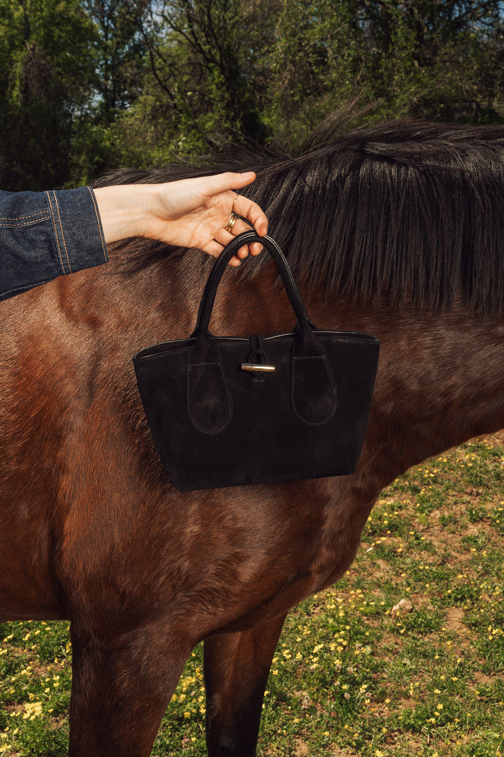 Meredith Top Handle Crossbody Bag