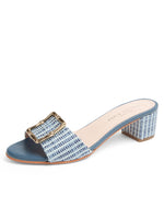 Blue Striped Raffia Color
