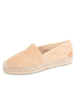 Camel Color