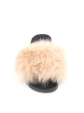 Foxy Slide Slipper