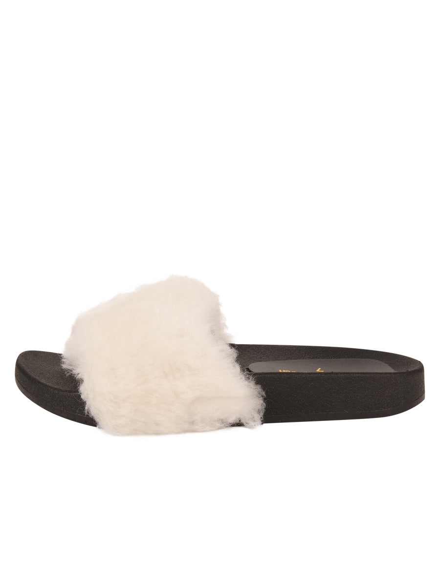 Mary Slipper