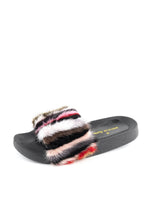 Multi Stripe Color