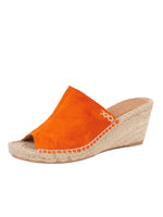 Orange Color