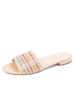 Rainbow Raffia Color