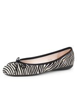 Black/White Zebra Color