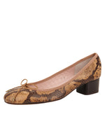 Brown Python Print Color