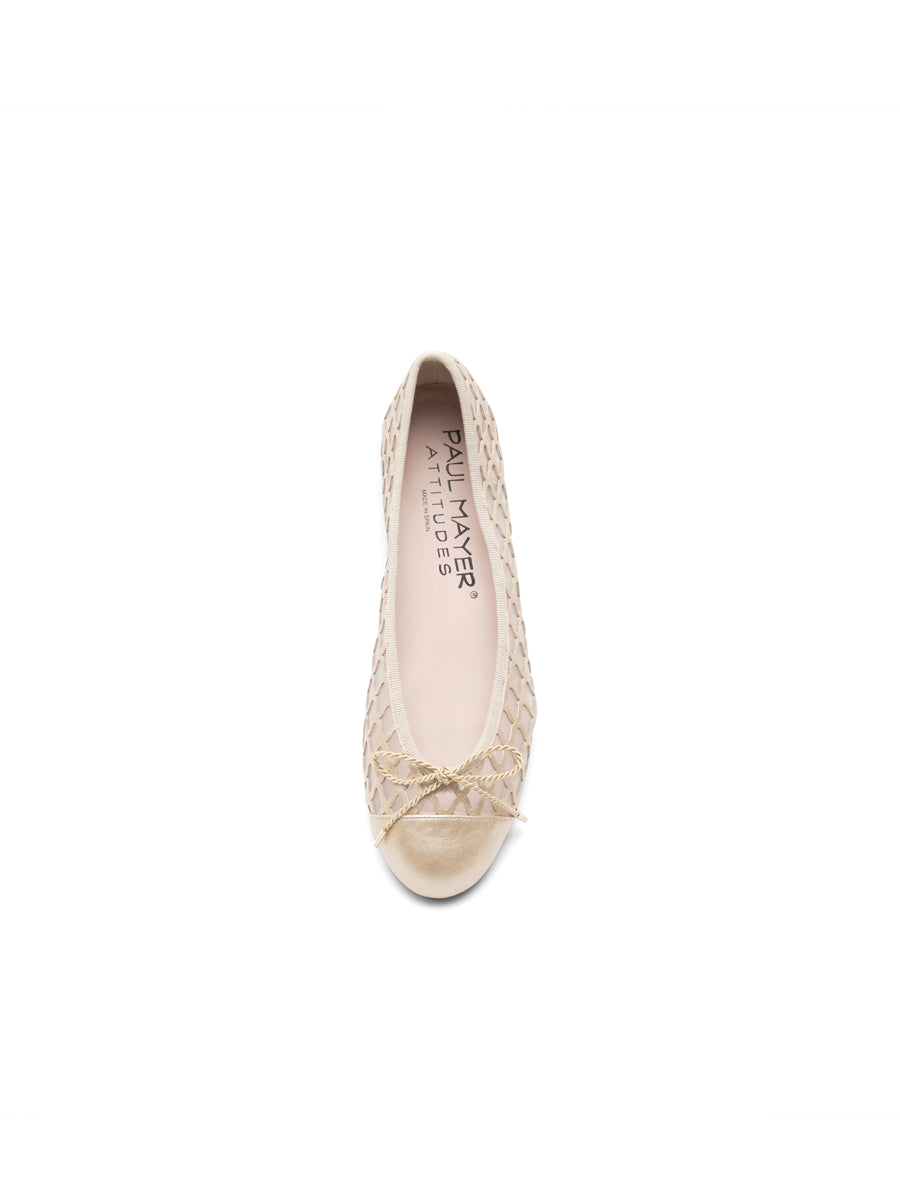 Brandy Mesh Ballet Flat