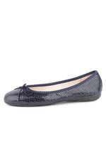 Navy Color