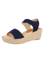 Navy Color